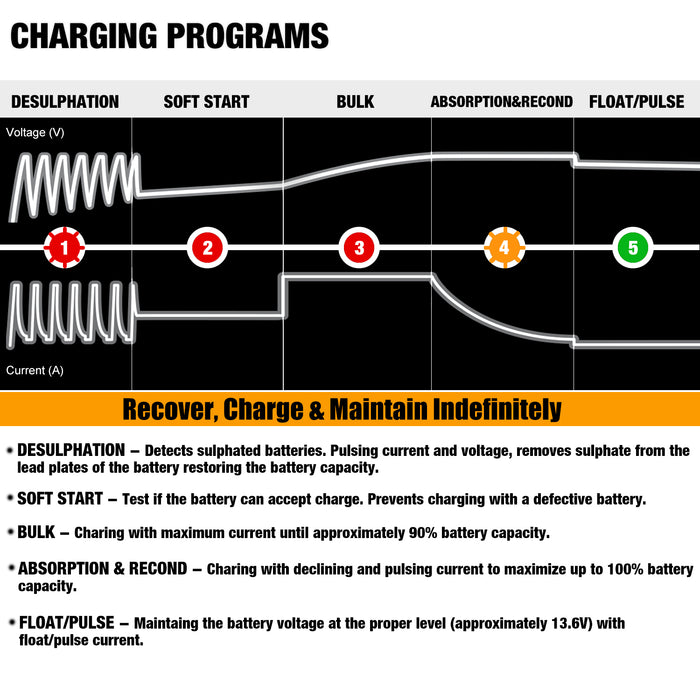 MOTOPOWER MP00205A 12V 800mA Fully Automatic Battery Charger/Maintainer for Cars, Motorcycles, ATVs, RVs, Powersports, Boat and More. Smart, Compact and Eco Friendly